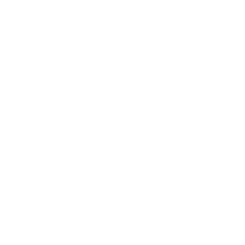 IT Support Rosetech Logo
